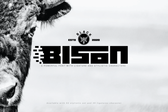 Black Bison: How a Bold Display Font Transformed My Small Business Branding